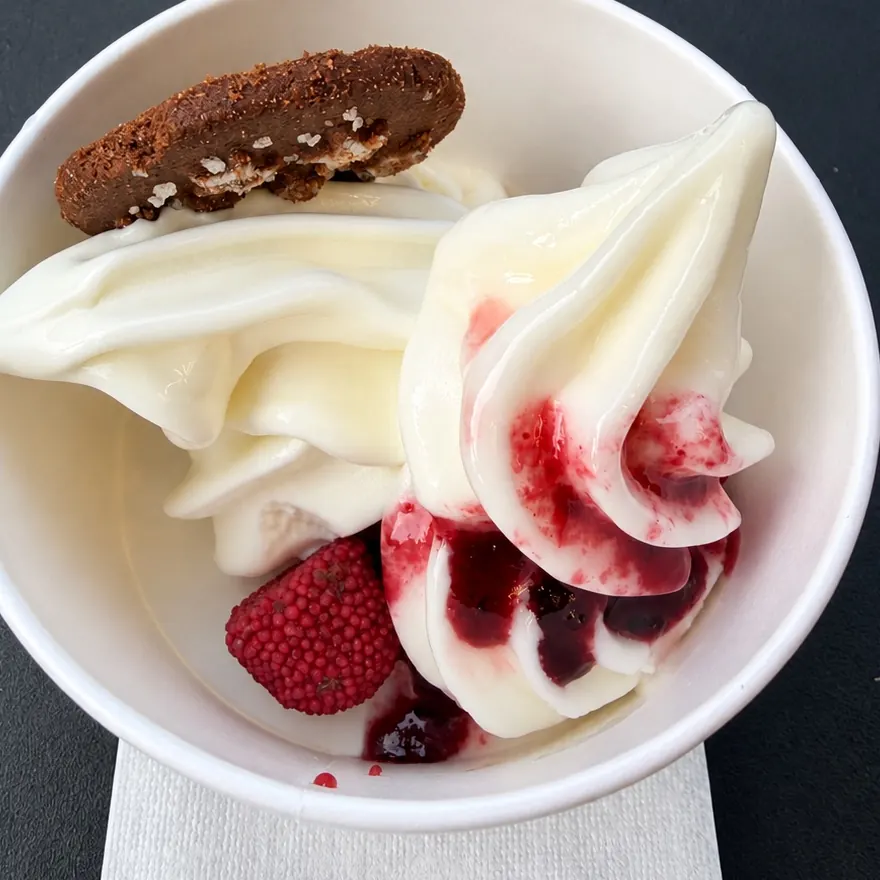 Coppetta di frozen yogurt con salsa ai lamponi, frutti rossi e un biscotto